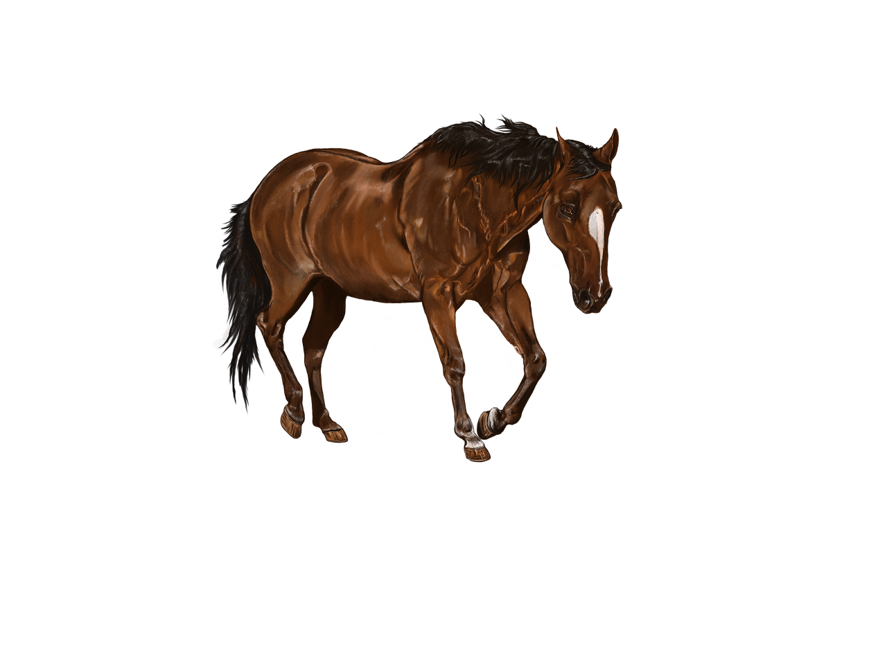 best cryptocurrency day trading — Best Cryptocurrency Day Trading visual insight